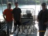 (05/26/2018) - Nice Striped Bass
